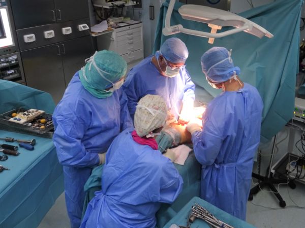 Protesi: istruzioni per l’uso