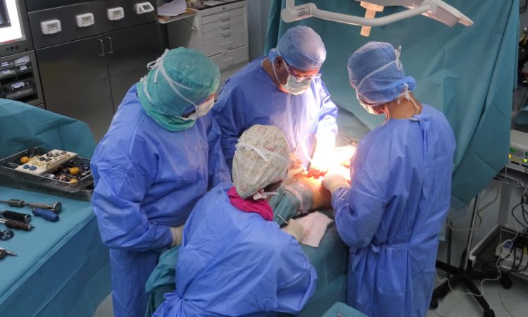Protesi: istruzioni per l’uso