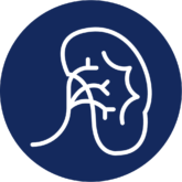 Endocrinologia