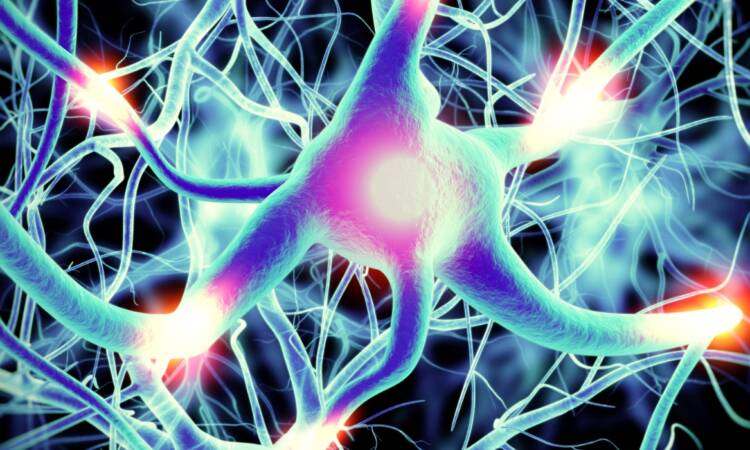 Nuovo Ambulatorio di Neurologia presso l’Istituto Galeno di Brindisi