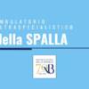 L’ambulatorio ultraspecialistico della spalla